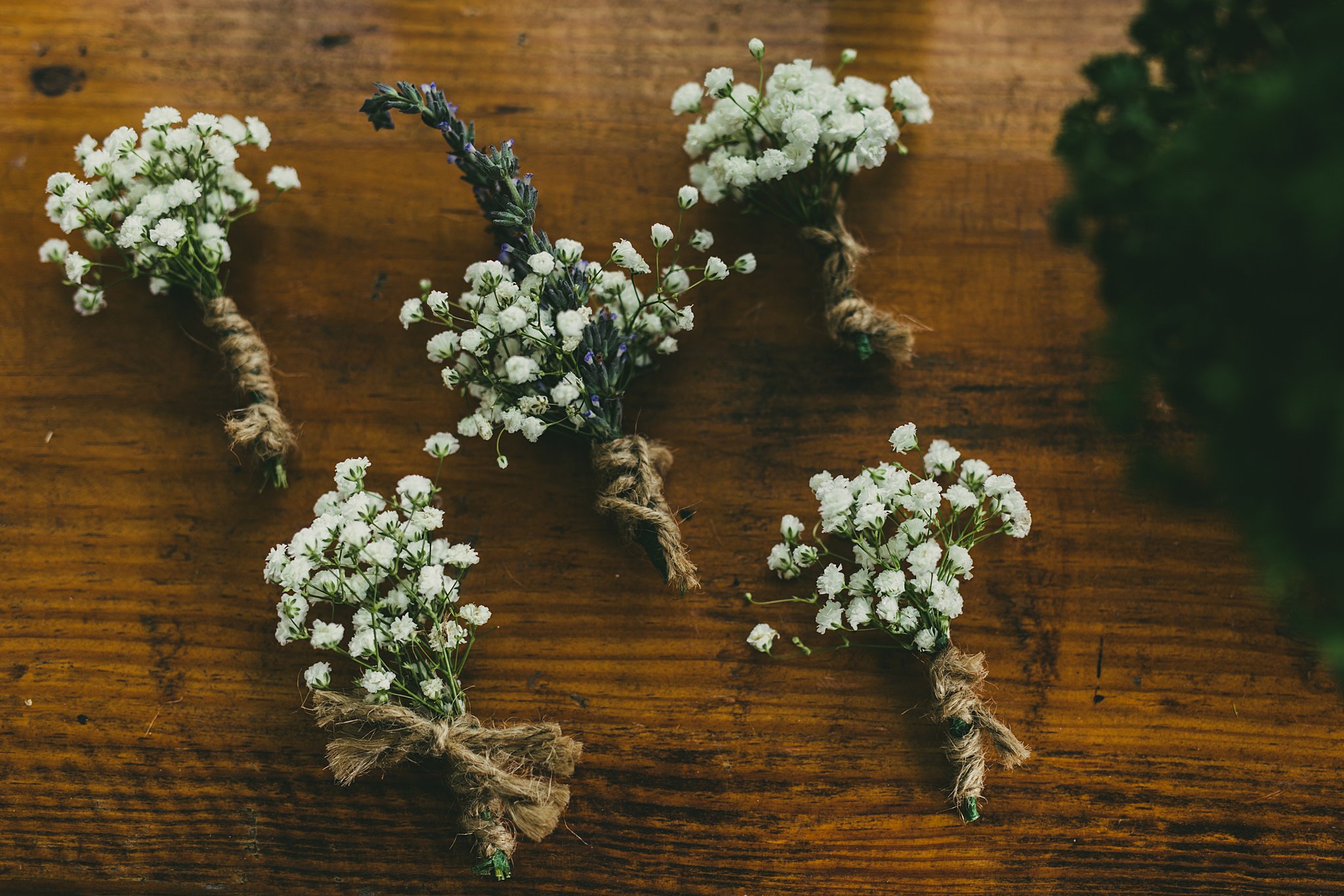 Sweet Meadow Farm Wedding Atlanta Wedding Photographers 