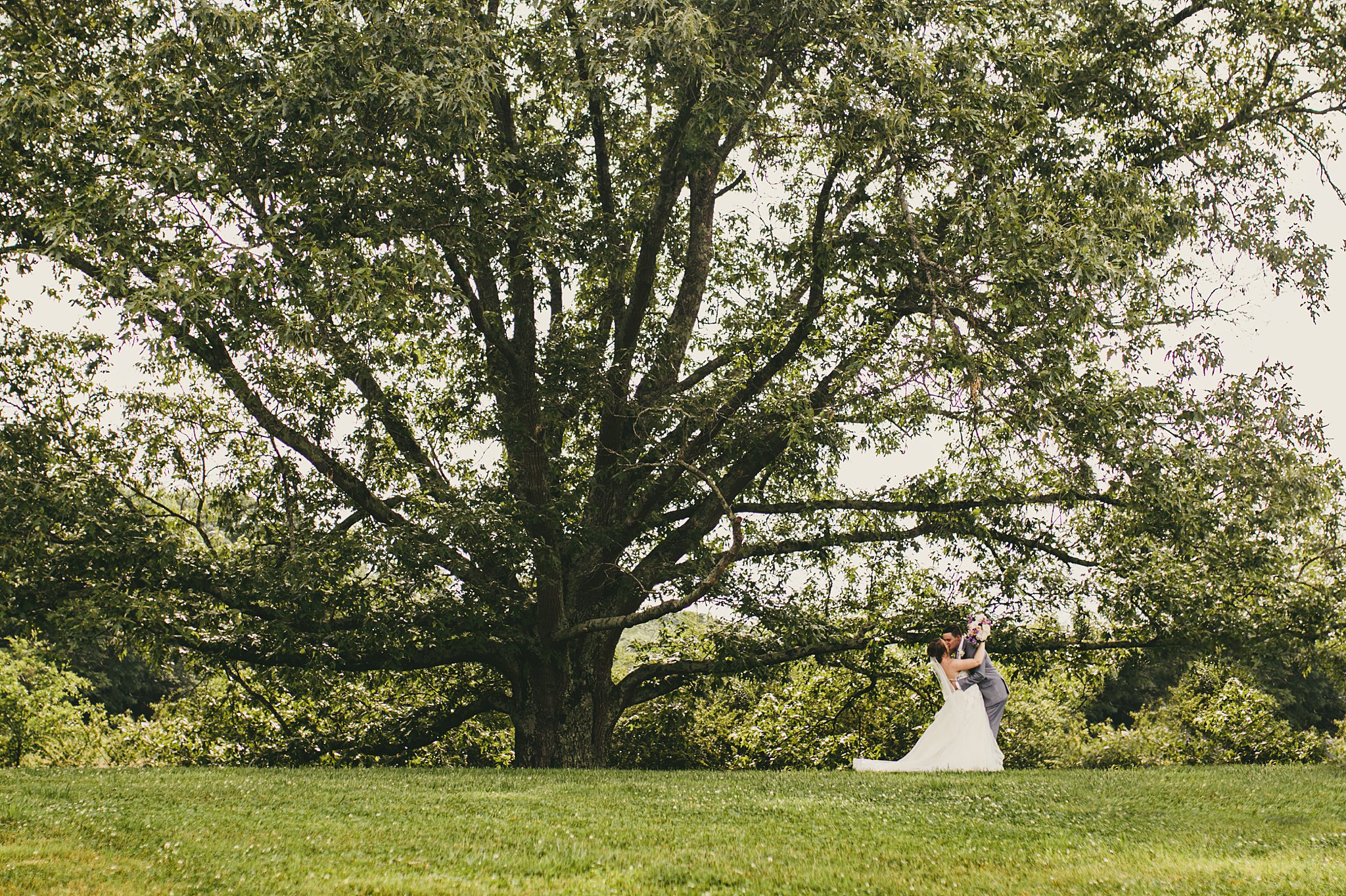 Sweet Meadow Farm Wedding Atlanta Wedding Photographers 