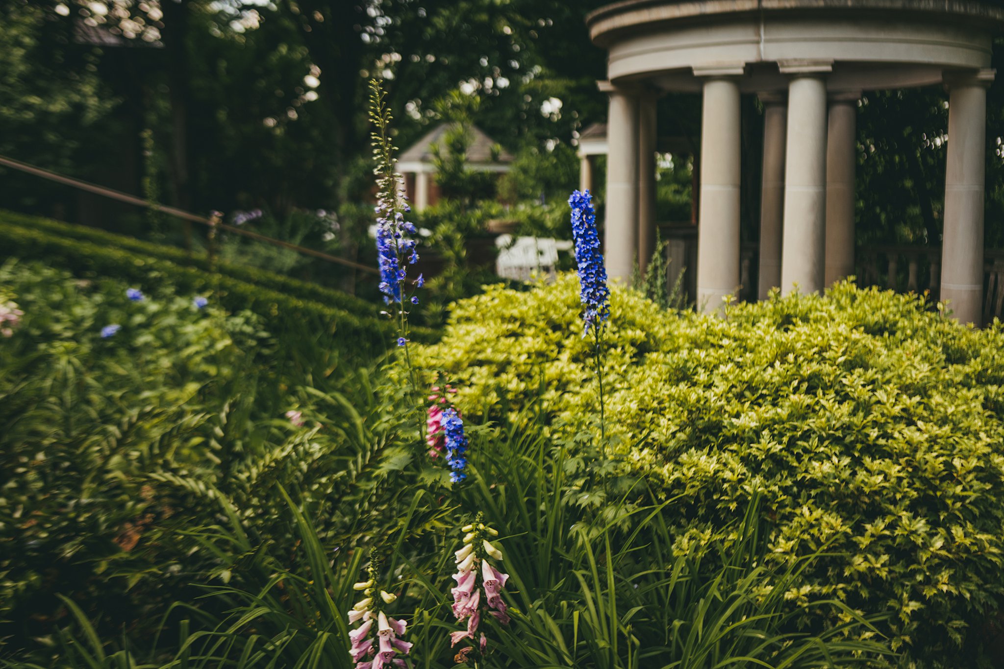 Atlanta Botannical Gardens Intimate Wedding Atlanta Wedding Photographers